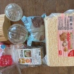 ハムスターケージ一式の画像