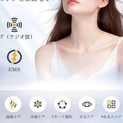 2025年モデル  超音波美顔器 EMS イオン導入   の画像