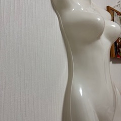 ハーフトルソーの画像