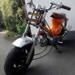 ホンダ　スーパーカブ　カスタムの画像