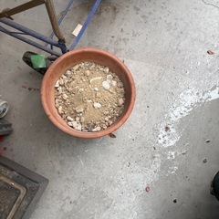 植木鉢　土　枯れ木無料　0円の画像