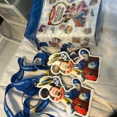 ディズニー　バケーションパッケージのグッズの画像