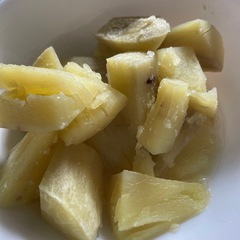 採れたて野菜セットの画像