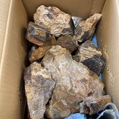 【未使用】形状お任せ 木化石 サイズミックス 10kg  　の画像