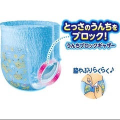 水遊びパンツの画像