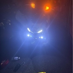 シグナス3型　の画像