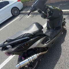シグナス3型　の画像