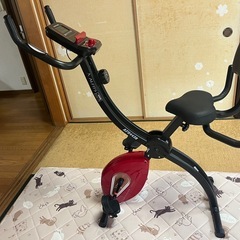 アルインコ クロスバイク  AFB4439 の画像