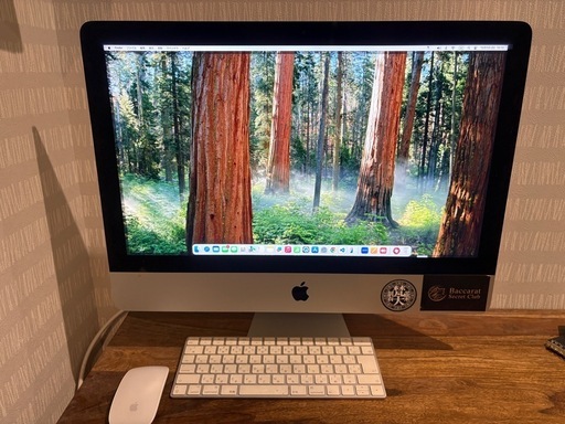【Apple iMac 2019 21.5インチ】引越し処分 1TB Apple iMac 2019 21.5インチ】引越し処分 1TB Apple iMac 2019 21.5