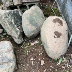 石の画像