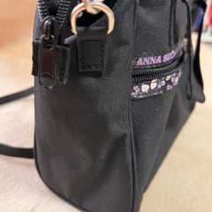 ANNA SUIアナスイ　ショルダーバッグ　2wayの画像