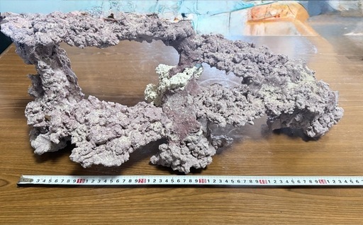 アーチ型ライブロック 約60cm　人工ライブロック　
中古・1年使用