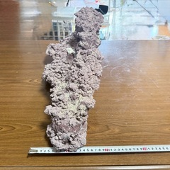 アーチ型ライブロック 約60cm　人工ライブロック　
中古・1年使用の画像