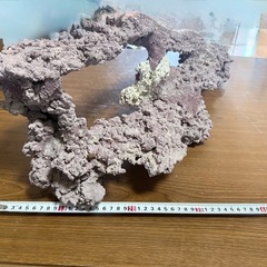 アーチ型ライブロック 約60cm　人工ライブロック　
中古・1年使用の画像