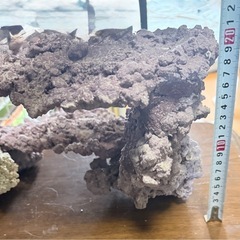 アーチ型ライブロック 約60cm　人工ライブロック　
中古・1年使用の画像