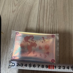 アリエルのマルチケースの画像