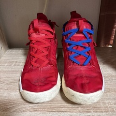 S・中古・JODAN PROTO REACTの画像