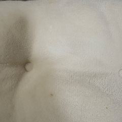 ペットベッドの画像