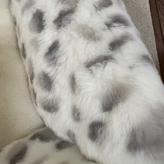 ペットベッドの画像
