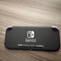 ニンテンドー 任天堂 スイッチ ライト 🌟 Switch らいとrightの画像