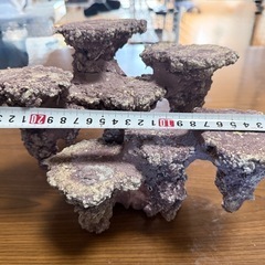棚型ライブロック 約30cm　中古　人工ライブロック　サンゴ台座・アクアリウム用の画像
