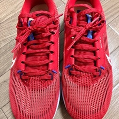 NIKEランニングシューズの画像