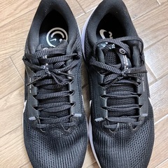 NIKEランニングシューズの画像