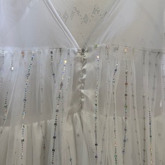 アナと雪の女王 エルサ ドレス 美品！の画像