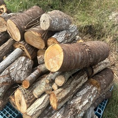 薪バーベキュー燃料等の画像