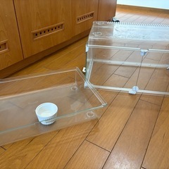 ハムスター 小動物 飼育ケースの画像