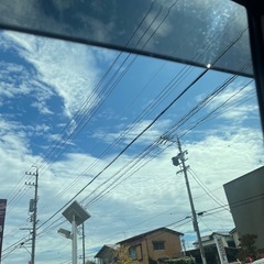 ライングルメンバー募集