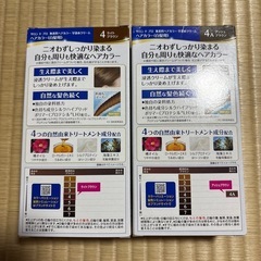 サロンドプロ　ヘアカラー　新品　二箱セット
 の画像