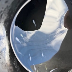 ミックスメダカ  稚魚の画像