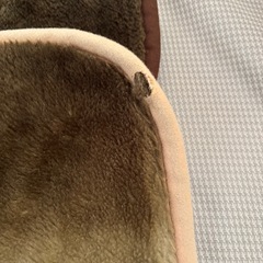 あったかマット2枚(中古)の画像