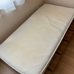 【美品】すのこベッドの画像