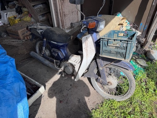 スズキ　バディー