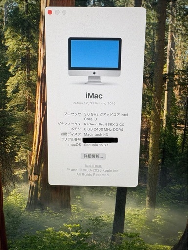 iMac (Retina 4K, 21.5-inch, 2019)パソコン　ジャンク品