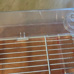 ハムスター　飼育セットの画像