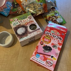 ハムスター　飼育セットの画像
