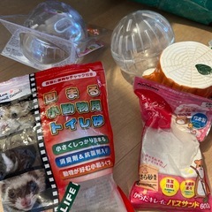 ハムスター　飼育セットの画像
