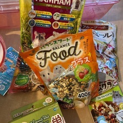 ハムスター　飼育セットの画像