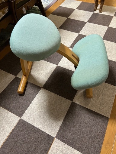 Balans EASY バランスイージー バランスチェア 姿勢矯正