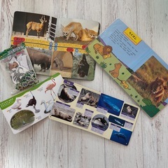 動物の本セットの画像