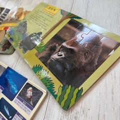 動物の本セットの画像