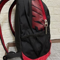 NIKE リュック　　軽量　手洗い済　おそらく30Lの画像