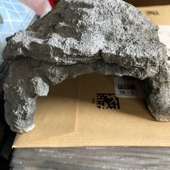 爬虫類用シェルターの画像