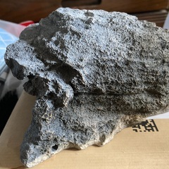 爬虫類用シェルターの画像