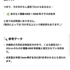 お取り引き中でず。樹齢100年以上！直径70センチ、クロチ、琉球黒檀　 枝をカット済みの黒木の画像