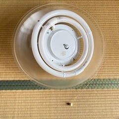 照明　電気　ライト　の画像