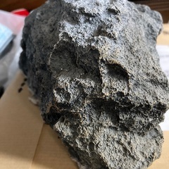 爬虫類用シェルターの画像